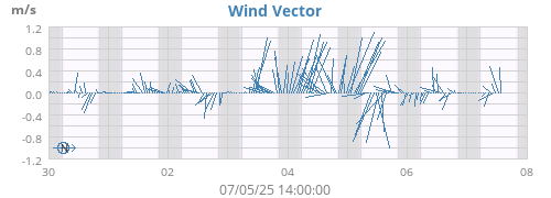 Wind Vector